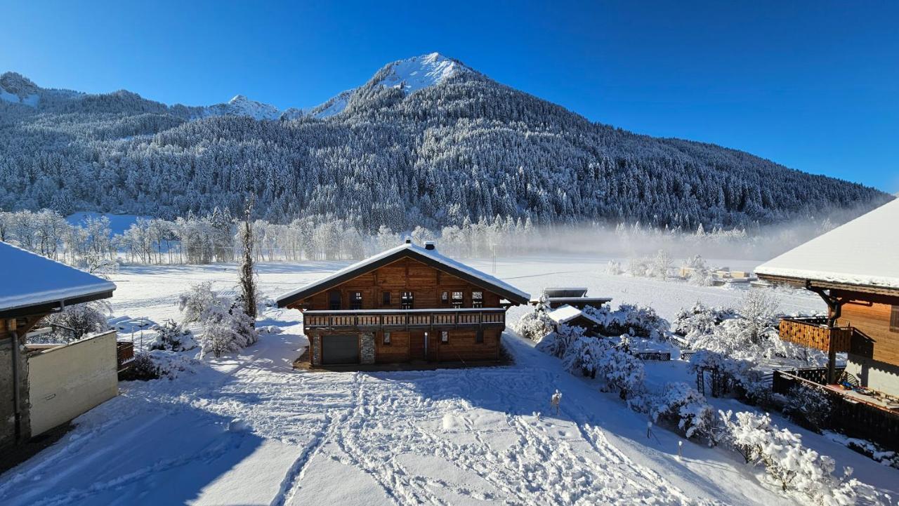 Demi-Chalet Vadel La Panthiaz 15 Pers 5 Chambres Abondance Exterior foto